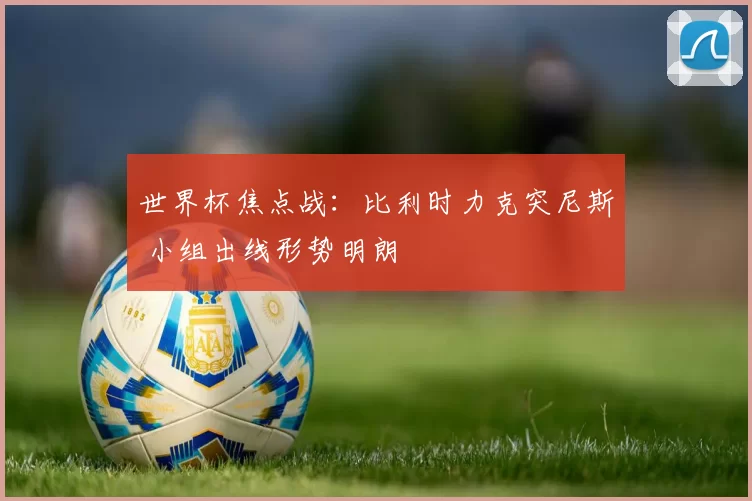 世界杯焦点战:比利时力克突尼斯 小组出线形势明朗