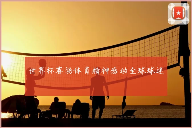世界杯赛场体育精神感动全球球迷