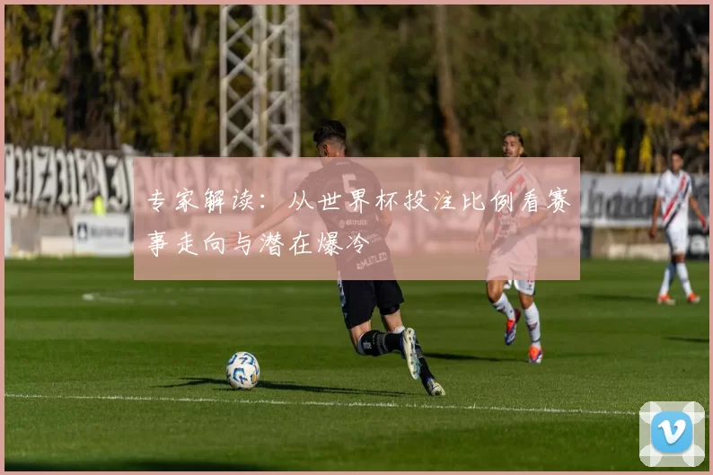 专家解读：从世界杯投注比例看赛事走向与潜在爆冷