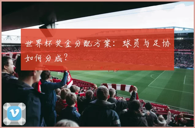 世界杯奖金分配方案：球员与足协如何分成？