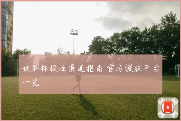世界杯投注渠道指南 官方授权平台一览