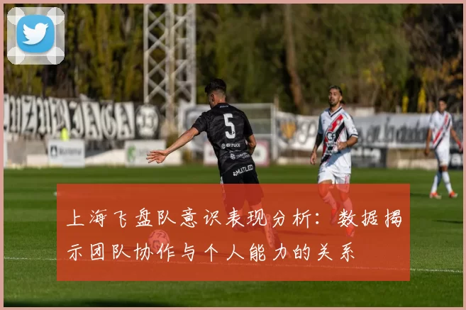 上海飞盘队意识表现分析:数据揭示团队协作与个人能力的关系