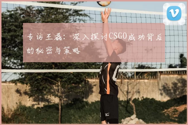 专访王磊：深入探讨CSGO成功背后的秘密与策略