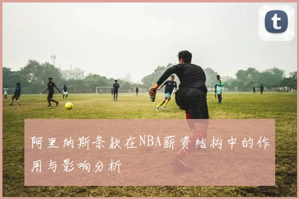 阿里纳斯条款在NBA薪资结构中的作用与影响分析