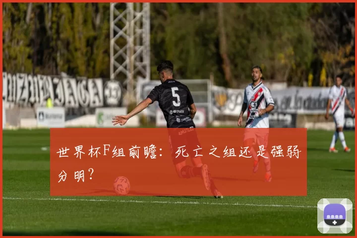 世界杯F组前瞻:死亡之组还是强弱分明?