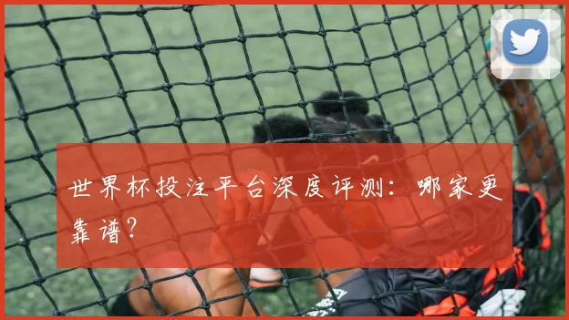 世界杯投注平台深度评测：哪家更靠谱？