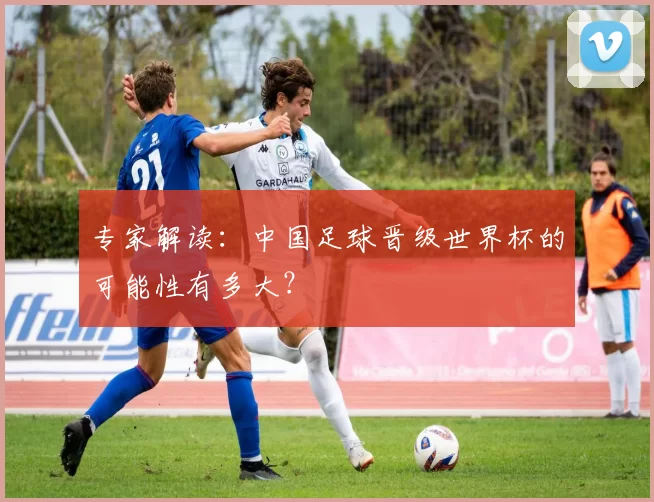 专家解读：中国足球晋级世界杯的可能性有多大？