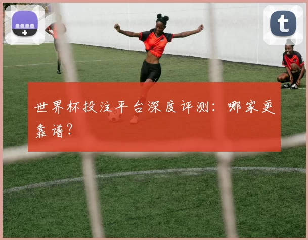 世界杯投注平台深度评测:哪家更靠谱?