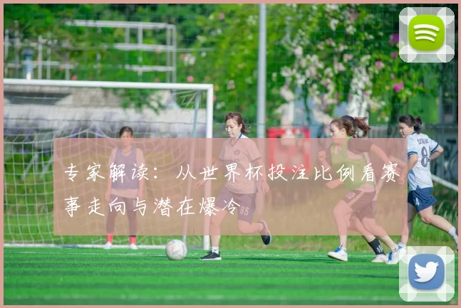 专家解读：从世界杯投注比例看赛事走向与潜在爆冷