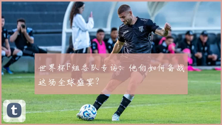 世界杯F组各队专访:他们如何备战这场全球盛宴?