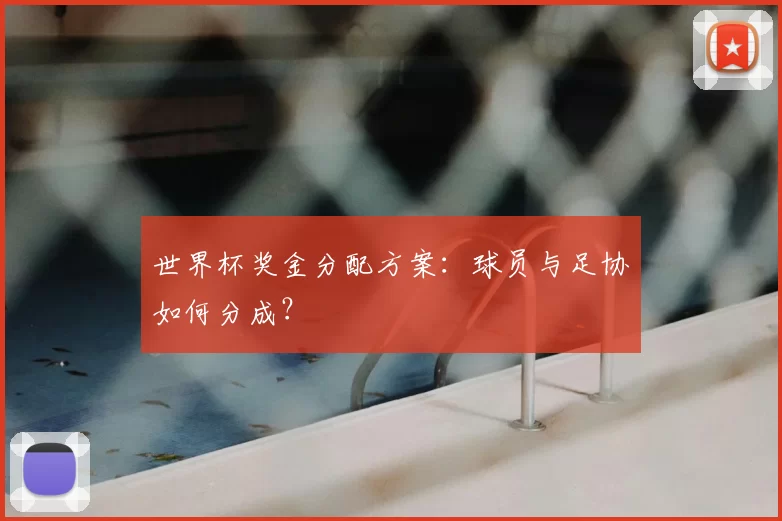 世界杯奖金分配方案：球员与足协如何分成？