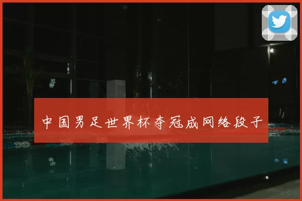 中国男足世界杯夺冠成网络段子