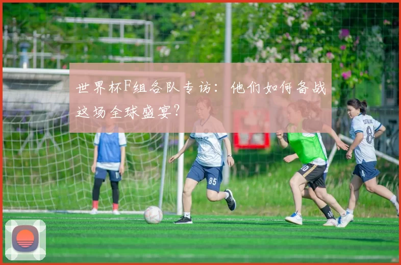 世界杯F组各队专访:他们如何备战这场全球盛宴?