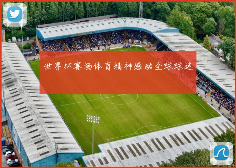 世界杯赛场体育精神感动全球球迷