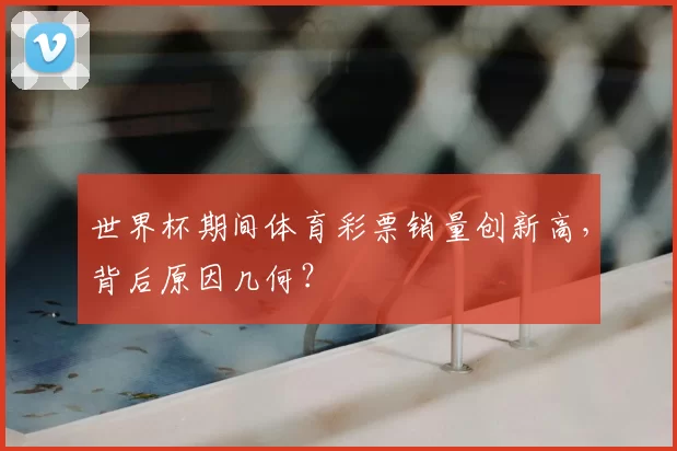 世界杯期间体育彩票销量创新高，背后原因几何？