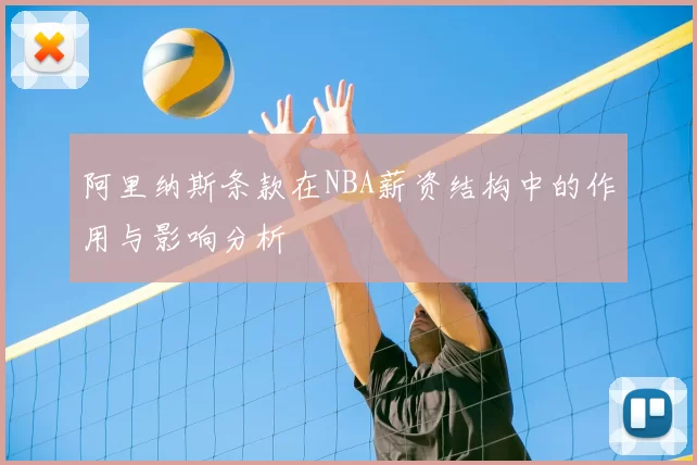 阿里纳斯条款在NBA薪资结构中的作用与影响分析